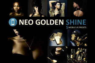 Download Neo Golden Shine Theme Mobile Lightroom Presets - Premium Resources